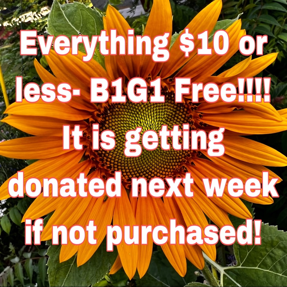 EVERYTHING $10 or less B1G1 Free!
